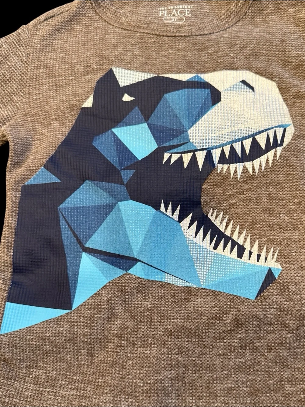 The Childrens Place Dino Graphic Thermal Shirt